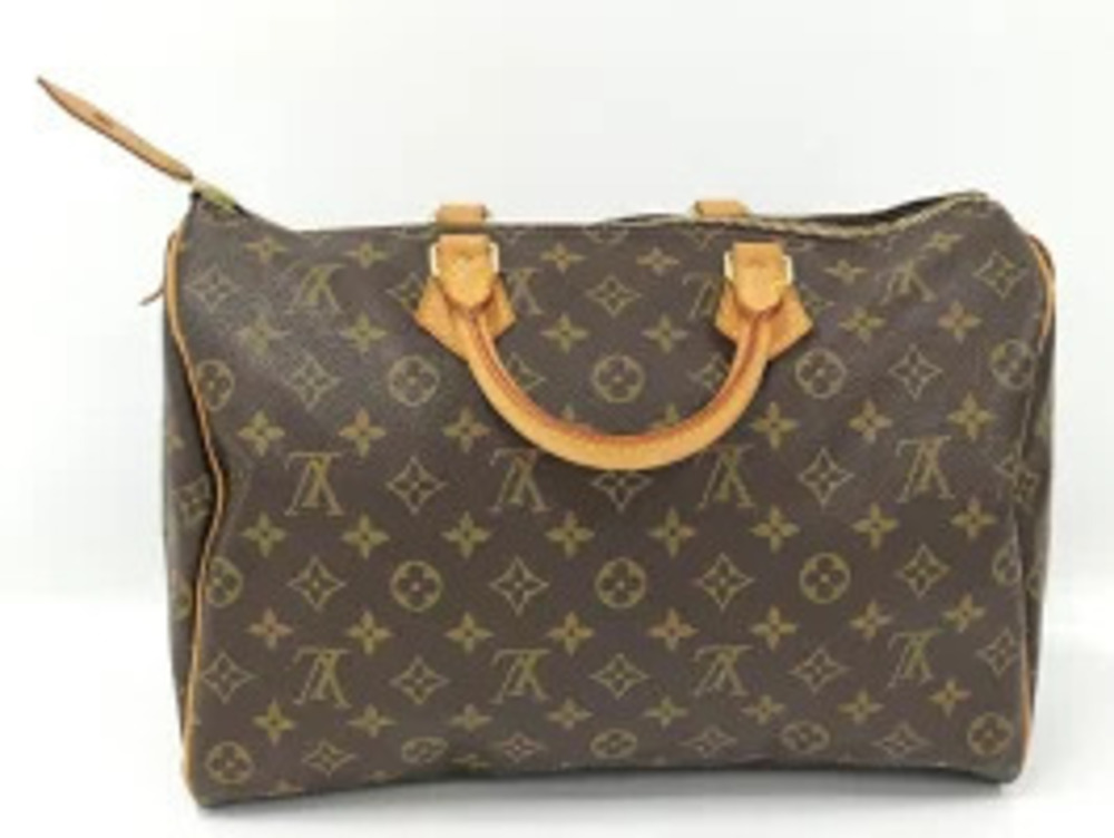 Louis Vuitton Speedy Handbag Monogram